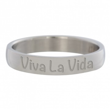 Viva La Vida 4 mm Silver