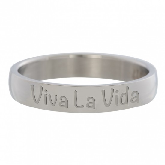 Viva La Vida 4 mm Silver